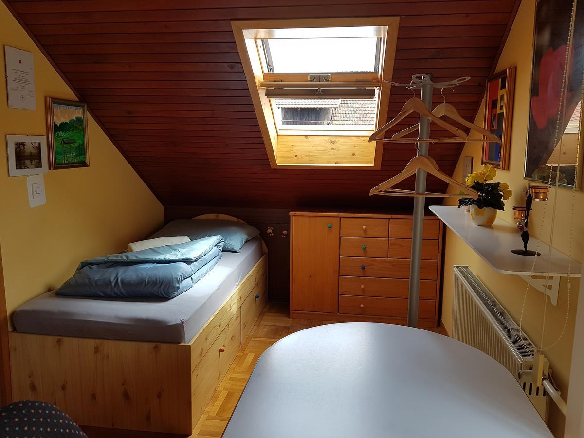 Apartment Manca Ljubljana Eksteriør billede